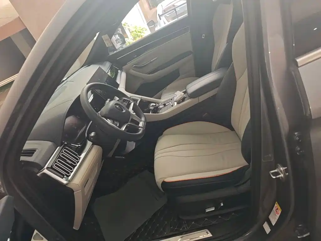 BYD PLUS New Energy — миниатюра 15