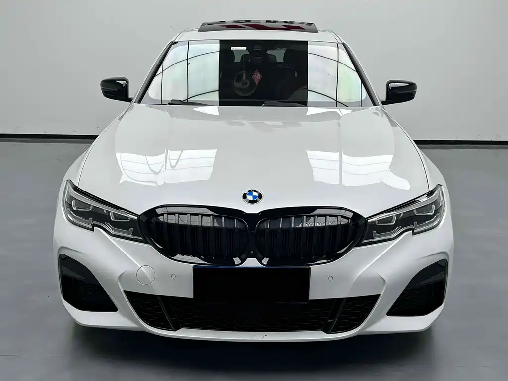 BMW 3 Series 3 2020 325Li