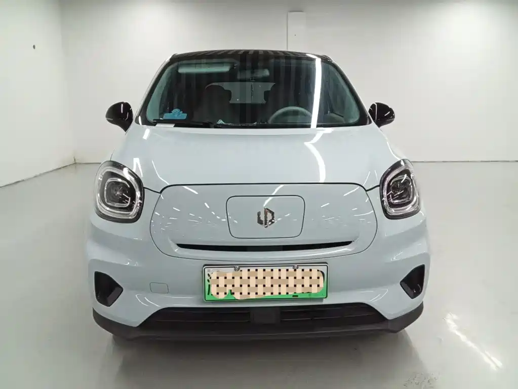 Leapmotor T03 2023 310