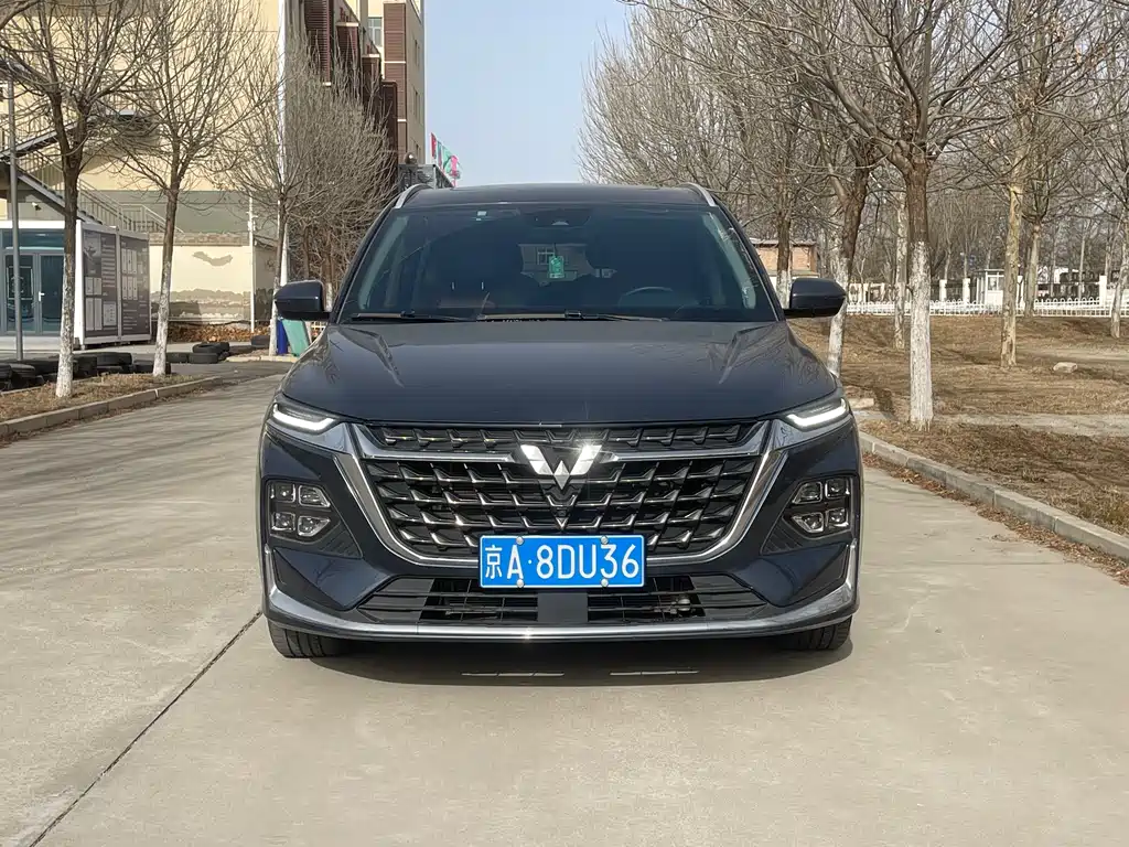 WULING AUTOMOBILE WULING CAPGEMINI