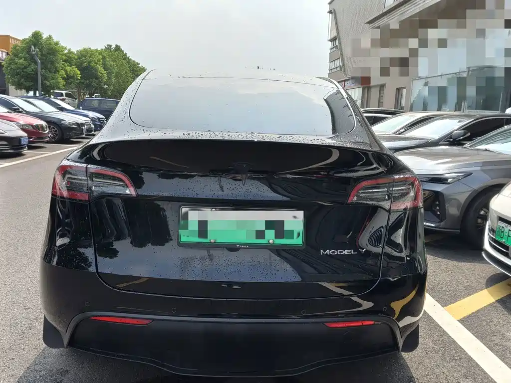 Tesla Model Y — миниатюра 10