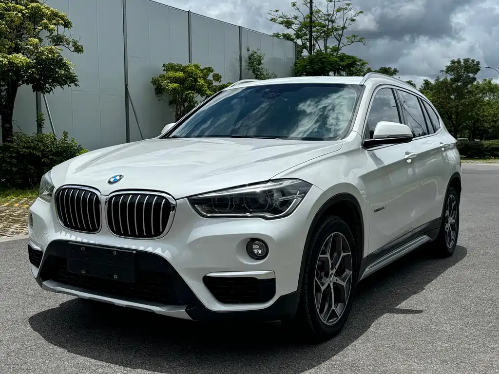 BMW X1 2018 xDrive20Li Premium