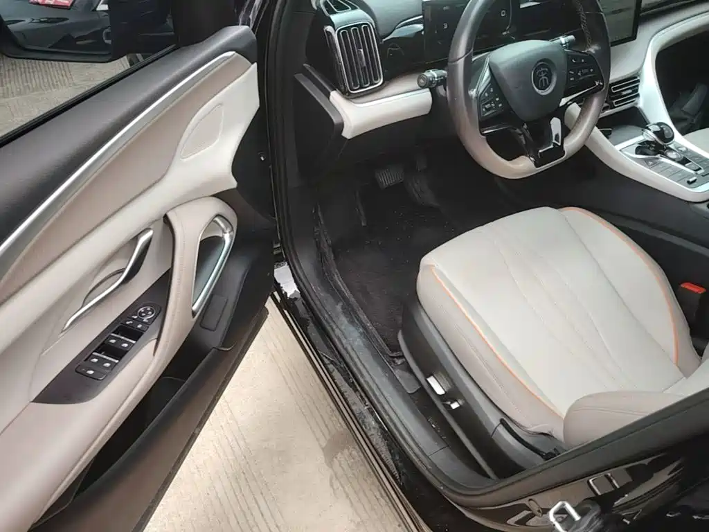BYD Pro New Energy — миниатюра 16