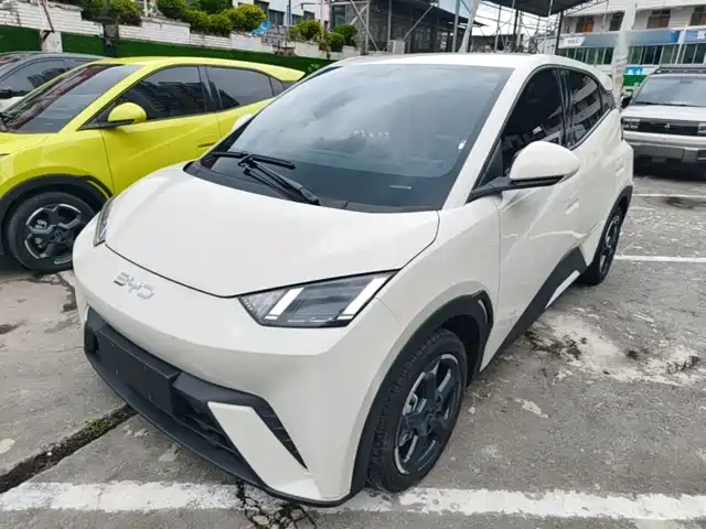 2024 BYD Seagull
