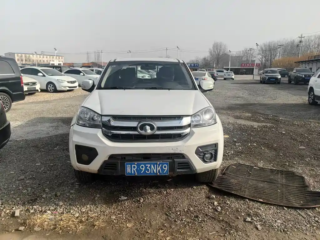 GREAT WALL FENGJUN 5