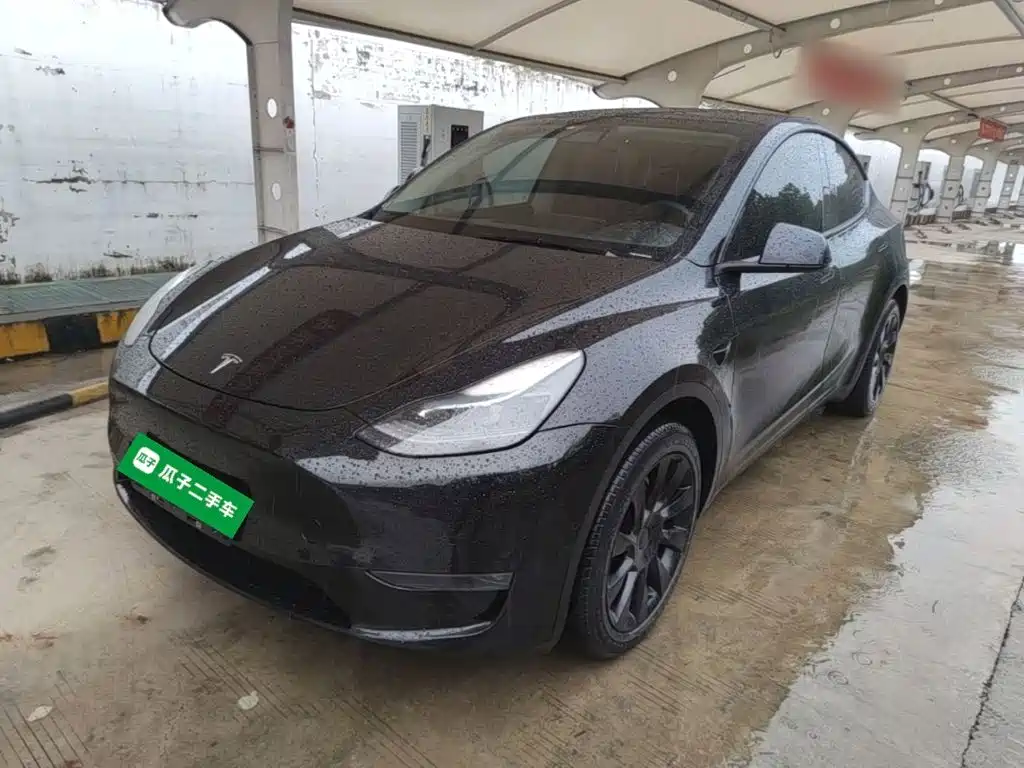 Tesla Model Y — миниатюра 2