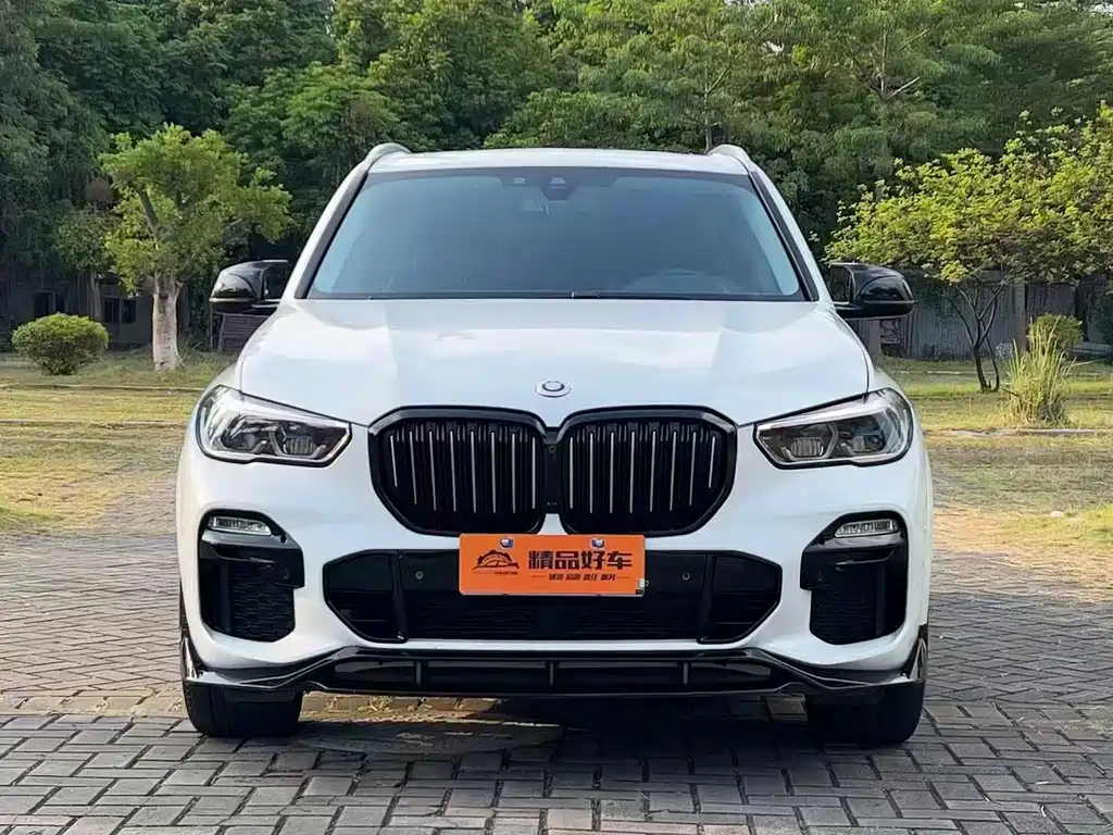 BMW X5 (Import) — миниатюра 2