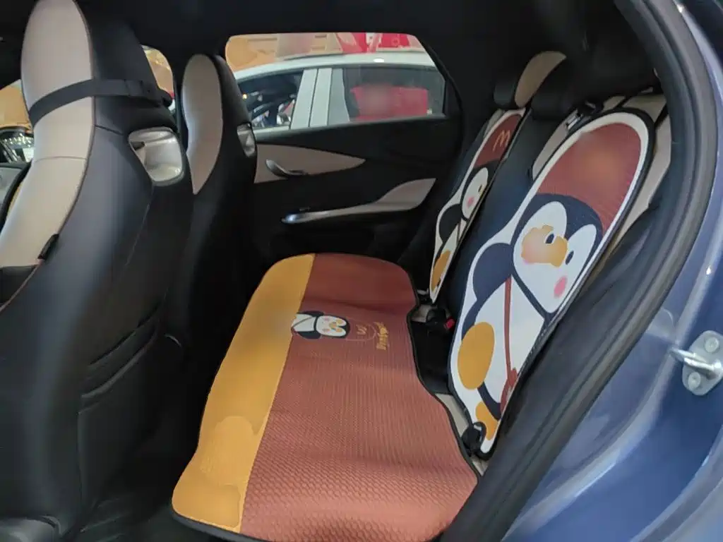 BYD Dolphin — миниатюра 17