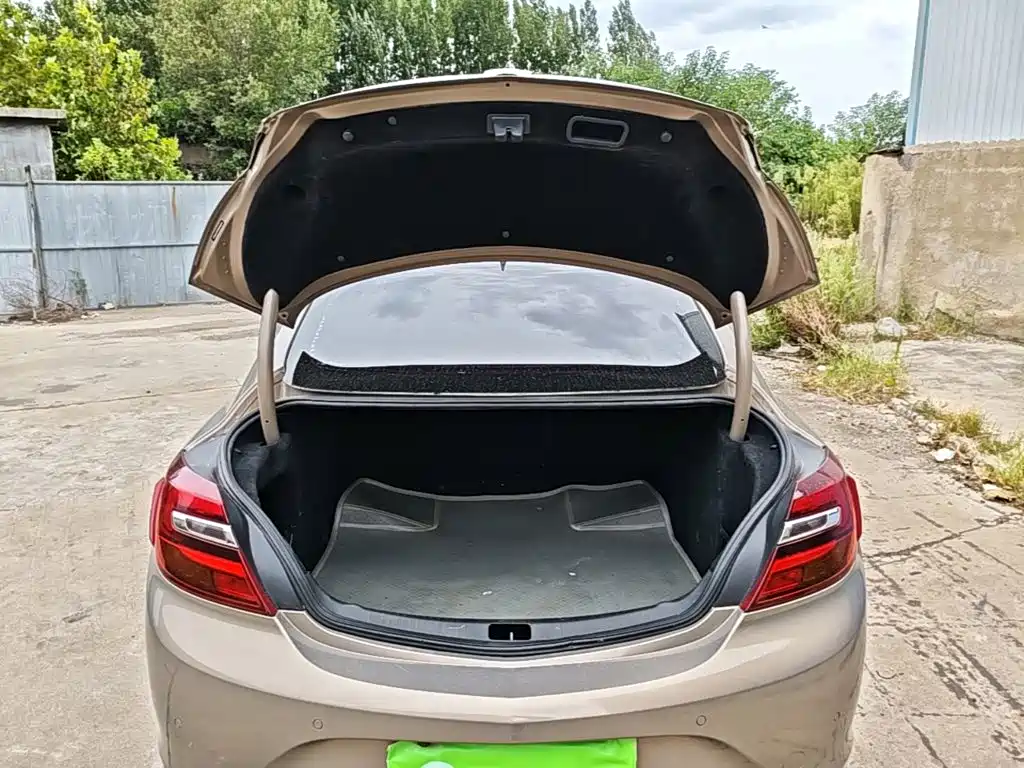 Buick Regal — миниатюра 19