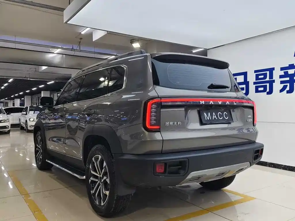HAVAL BIG DOG