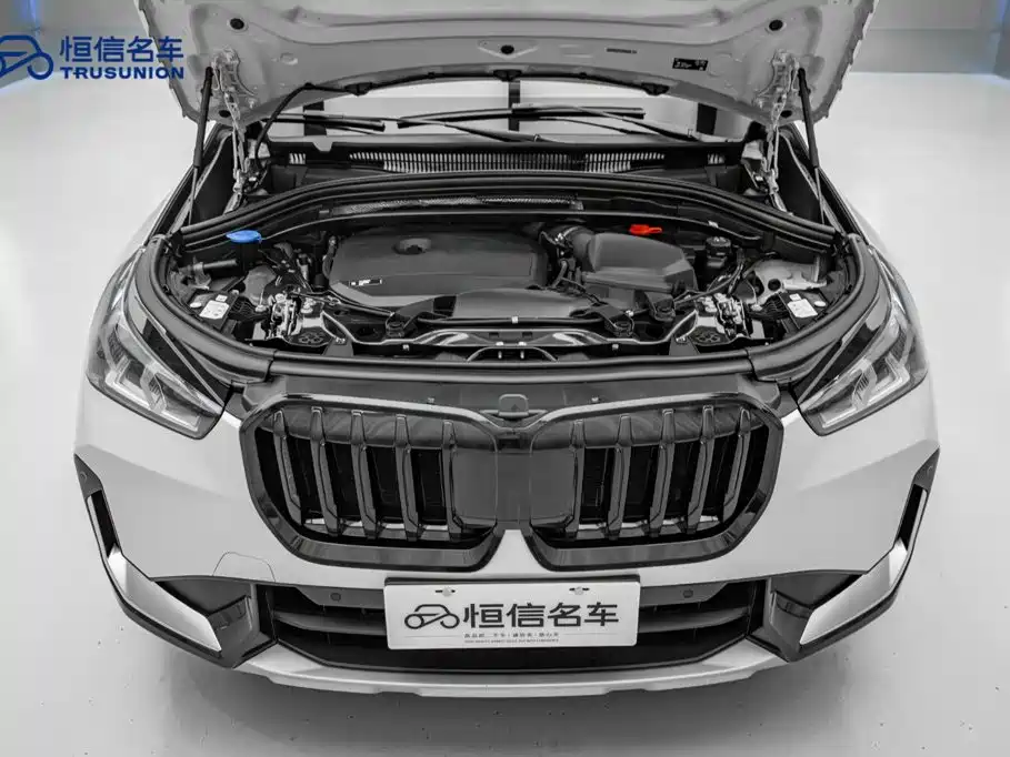 BMW X1 — миниатюра 21