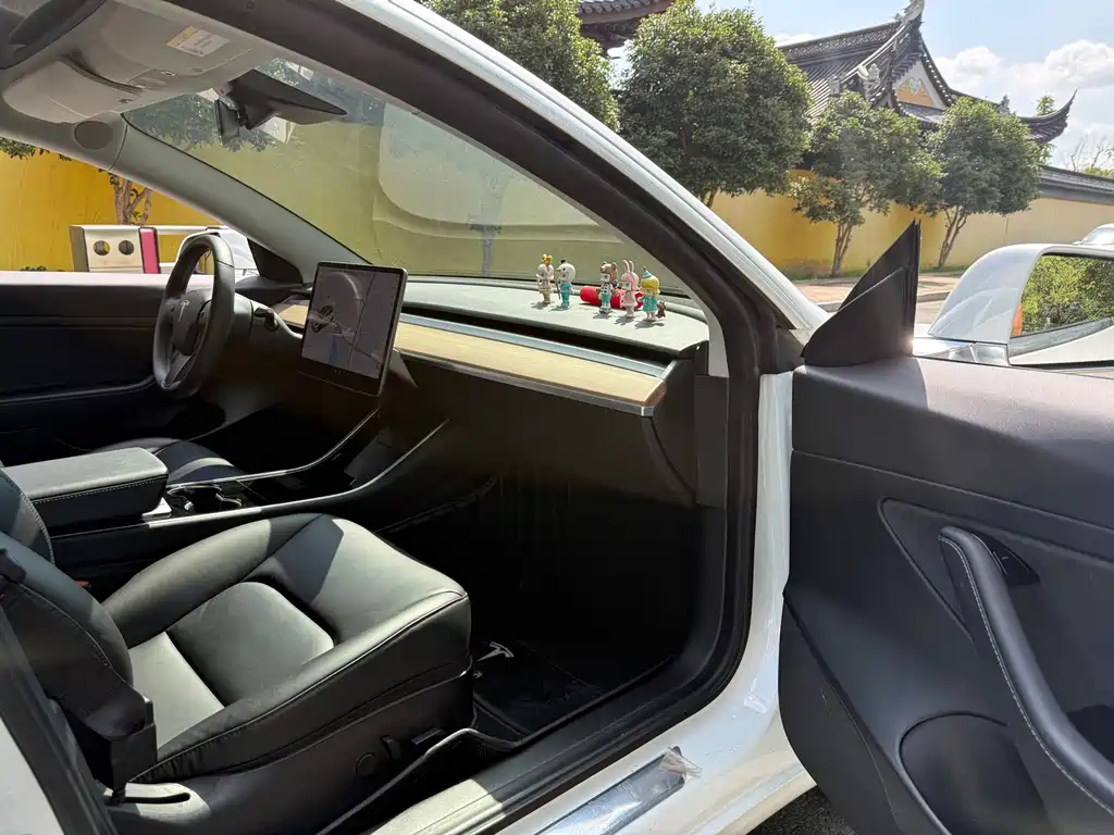 Tesla Model 3 — миниатюра 13