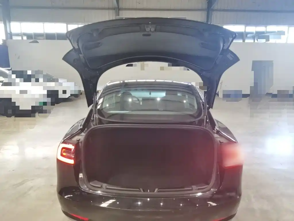 Tesla Model 3 — миниатюра 19