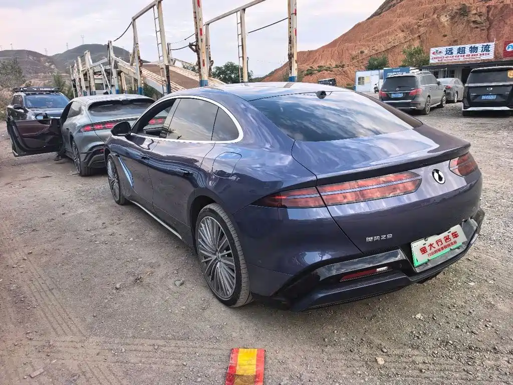 Denza Denza Z9 — миниатюра 3