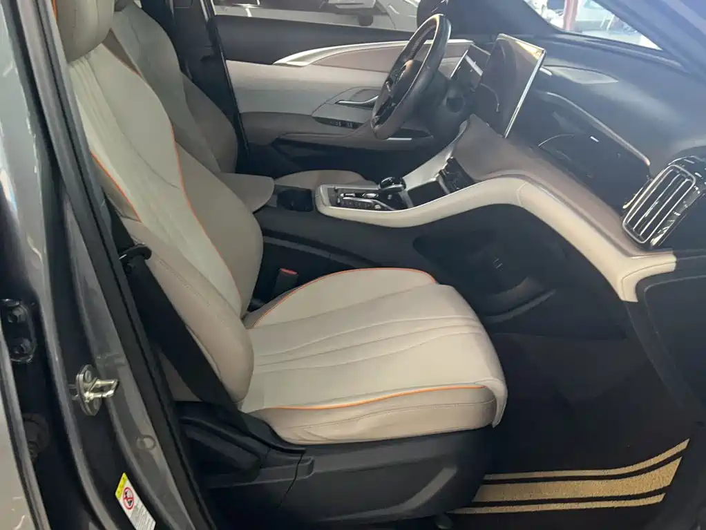 BYD Pro New Energy — миниатюра 3