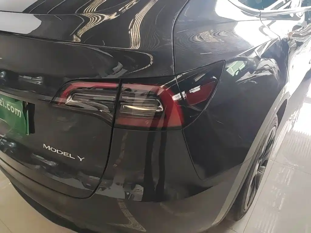 Tesla Model Y — миниатюра 8