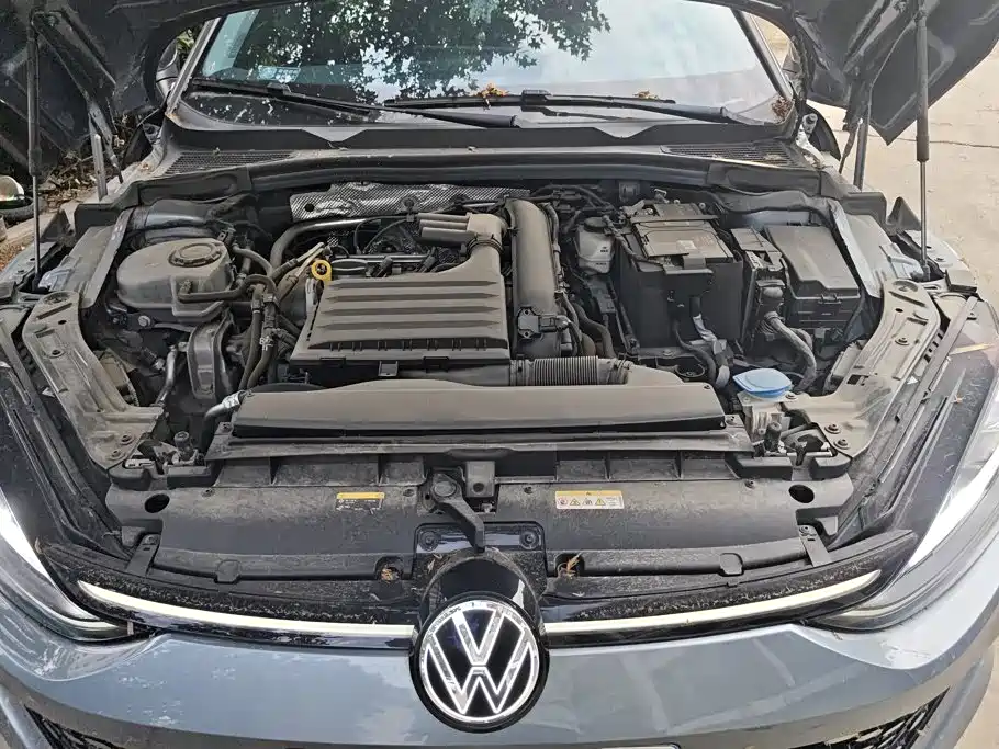 Volkswagen Lamando — миниатюра 10