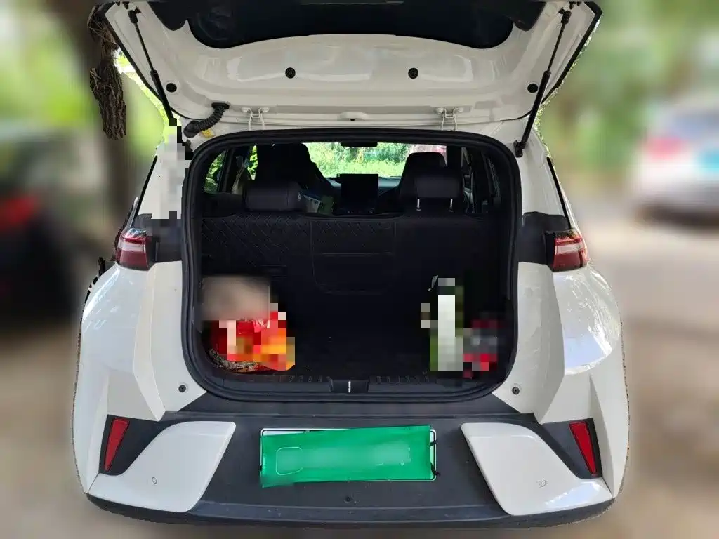 BYD Seagull — миниатюра 10
