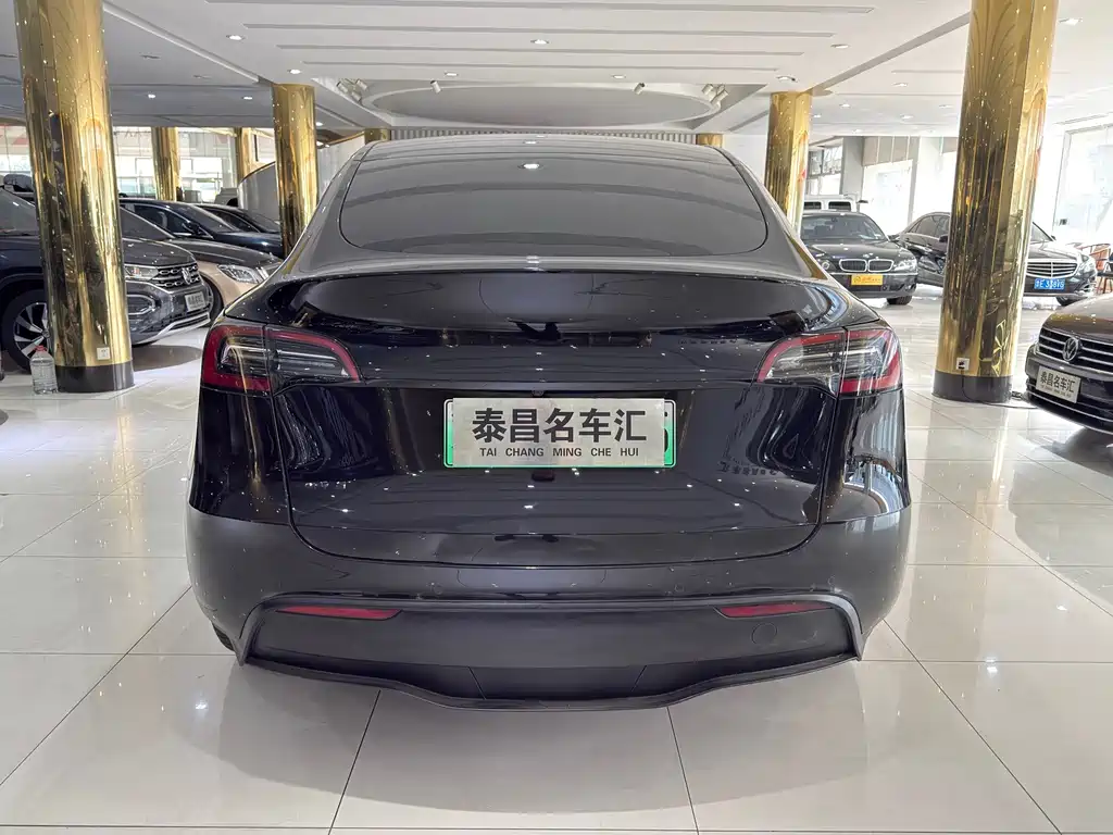 Tesla Model Y — миниатюра 5