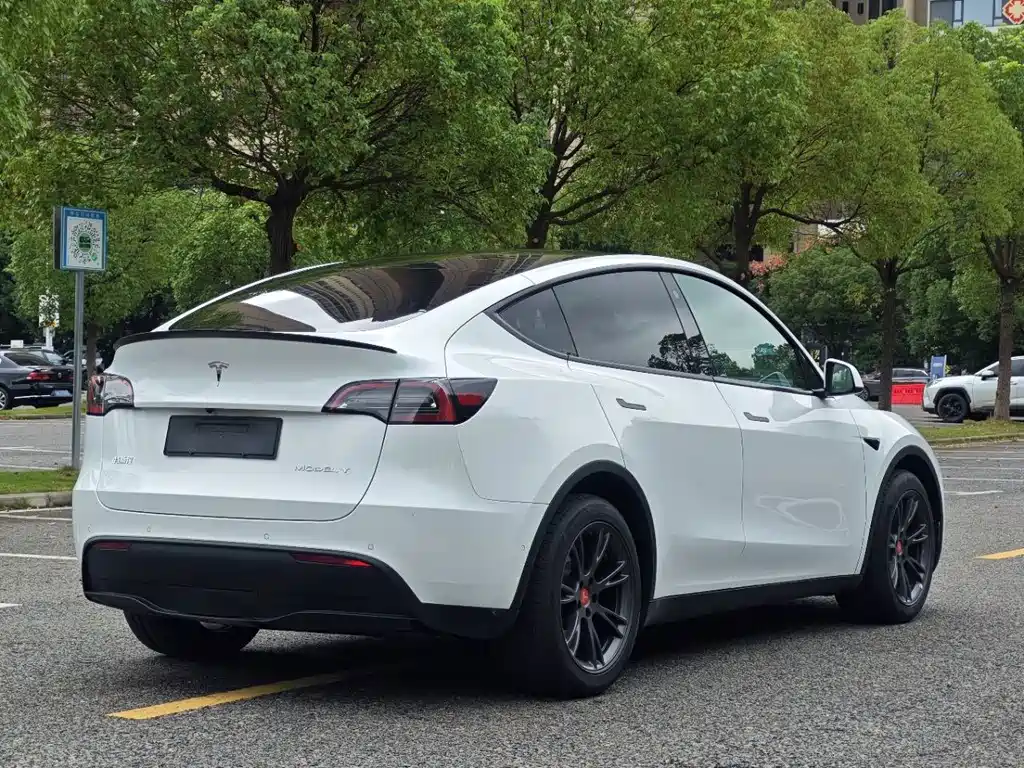Tesla Model Y — миниатюра 17