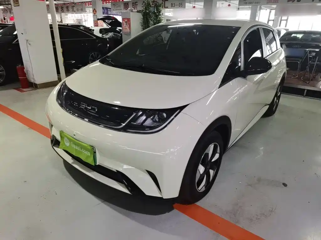 BYD Dolphin — миниатюра 2