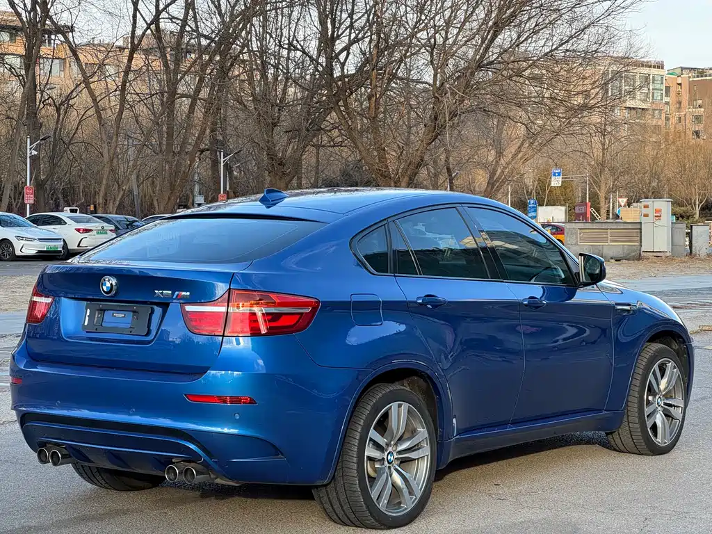 BMW X6 M 2013 X6 M
