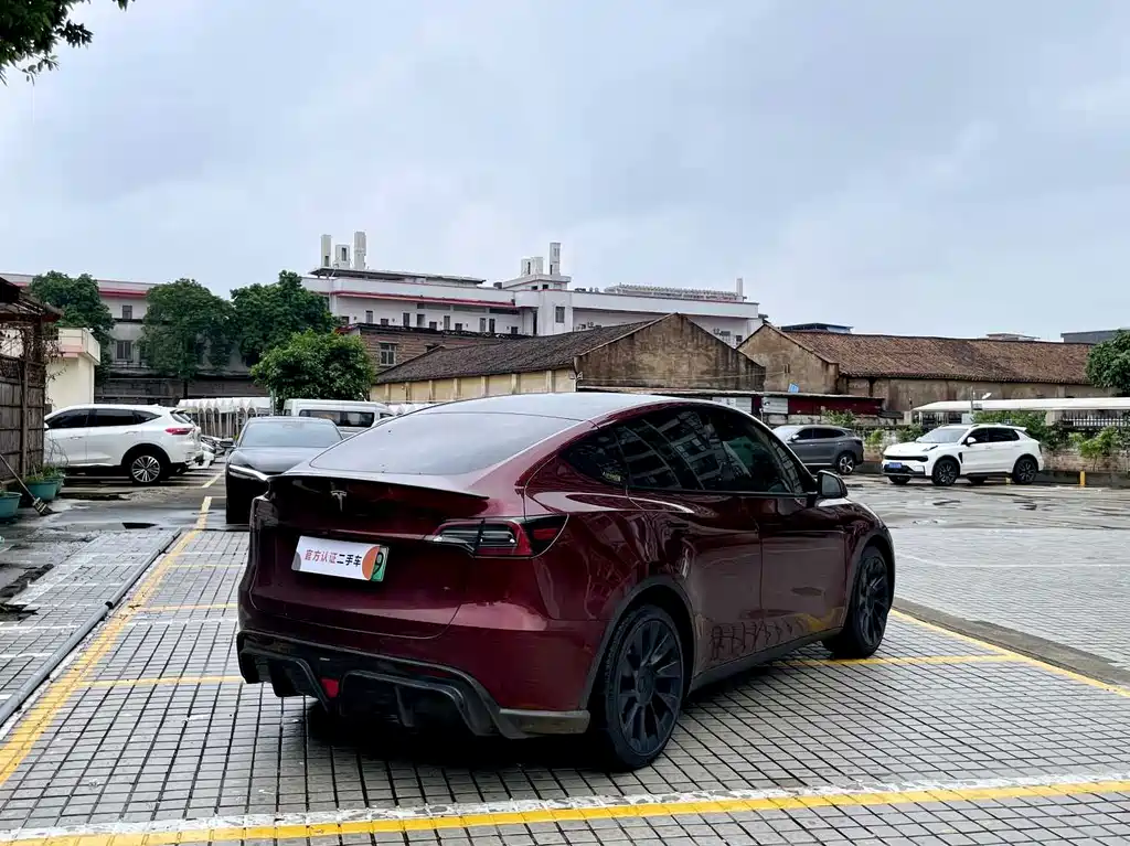 Tesla Model Y — миниатюра 6