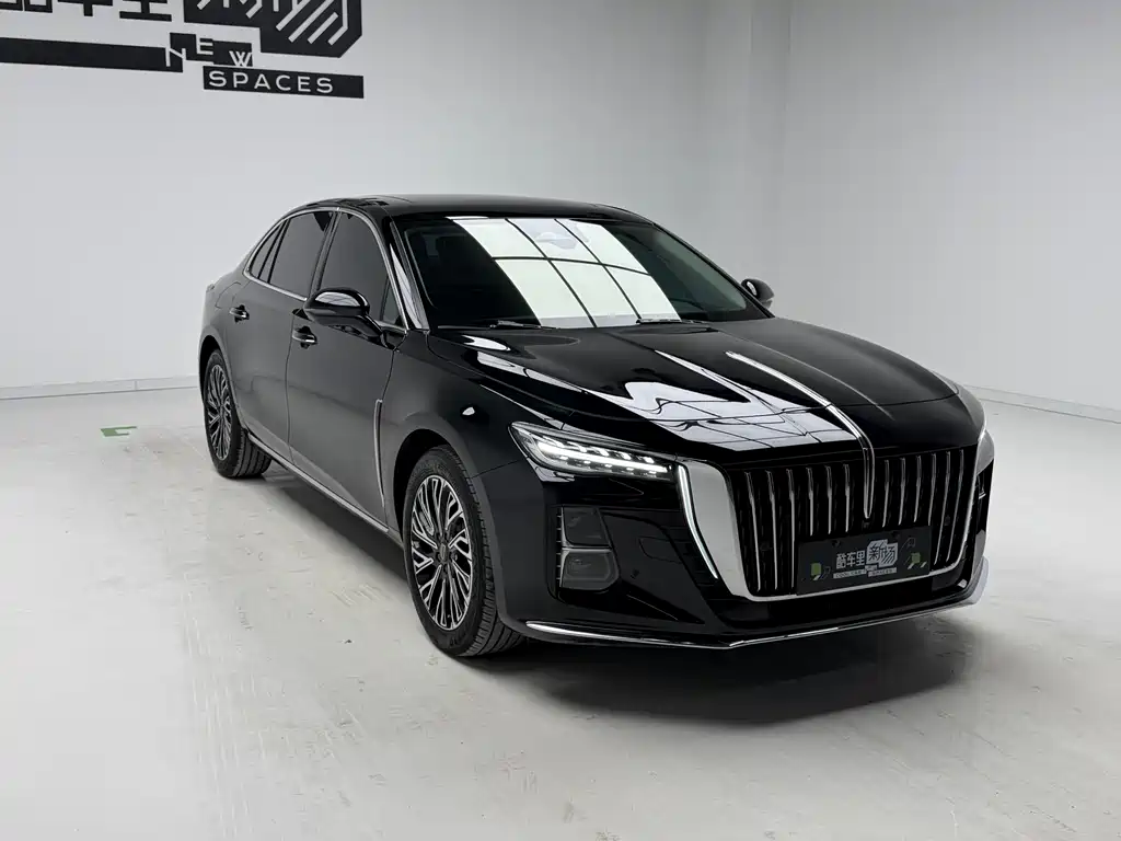 Hongqi H5 2024 2.0T AT