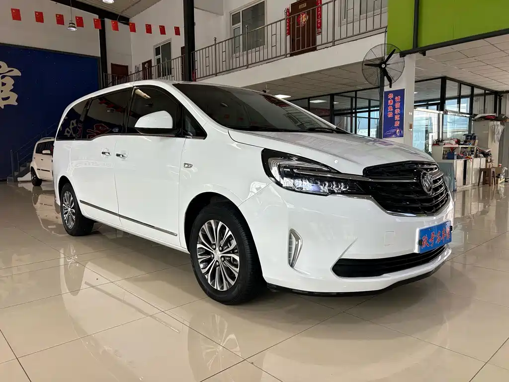 Buick GL8 — миниатюра 3