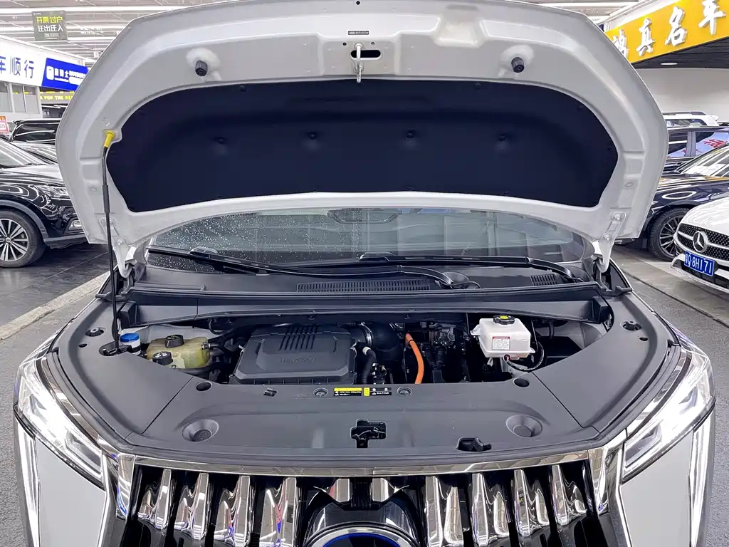 GAC Motor Trumpchi M8 — миниатюра 8