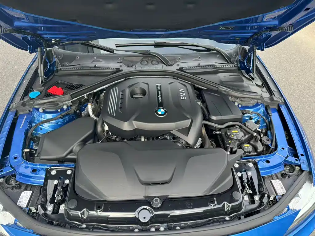 BMW 3 Series 3 2019 320Li M Sport