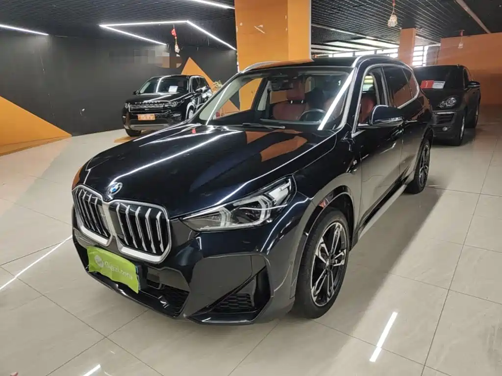 BMW X1 — миниатюра 2