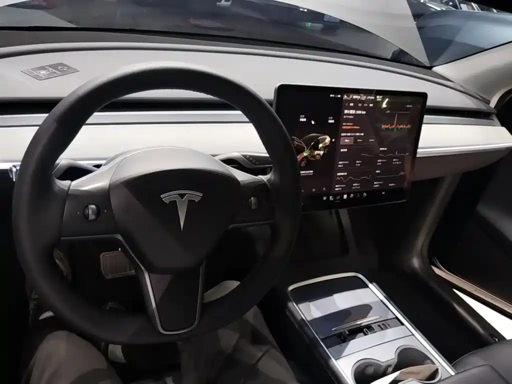 Tesla Model Y — миниатюра 10
