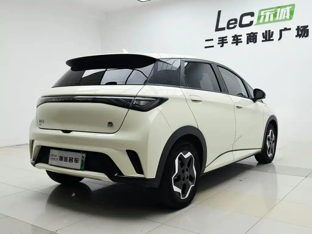 BYD Dolphin — миниатюра 5