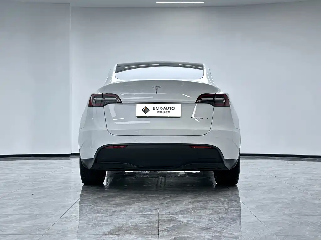 Tesla Model Y — миниатюра 7