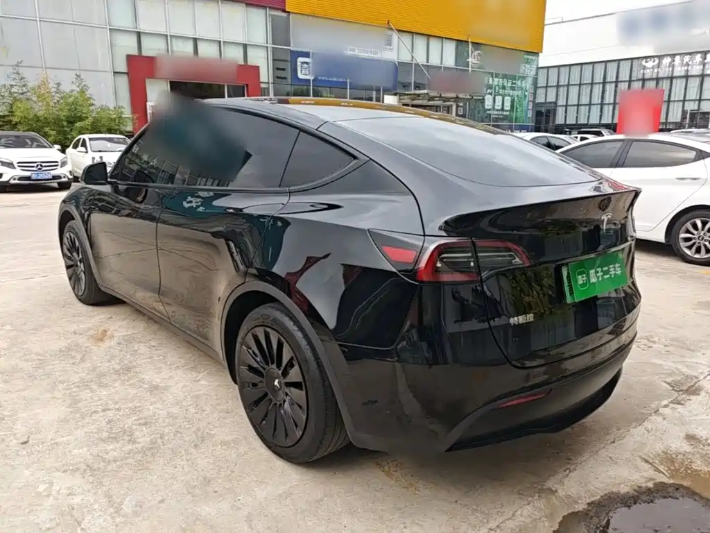 Tesla Model Y — миниатюра 5