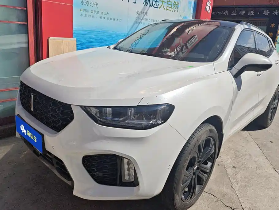 Wey Wey VV5