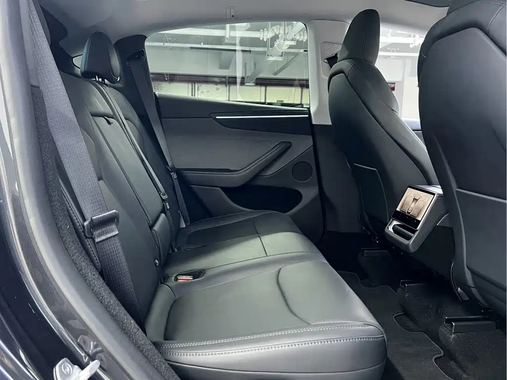 Tesla Model Y — миниатюра 4