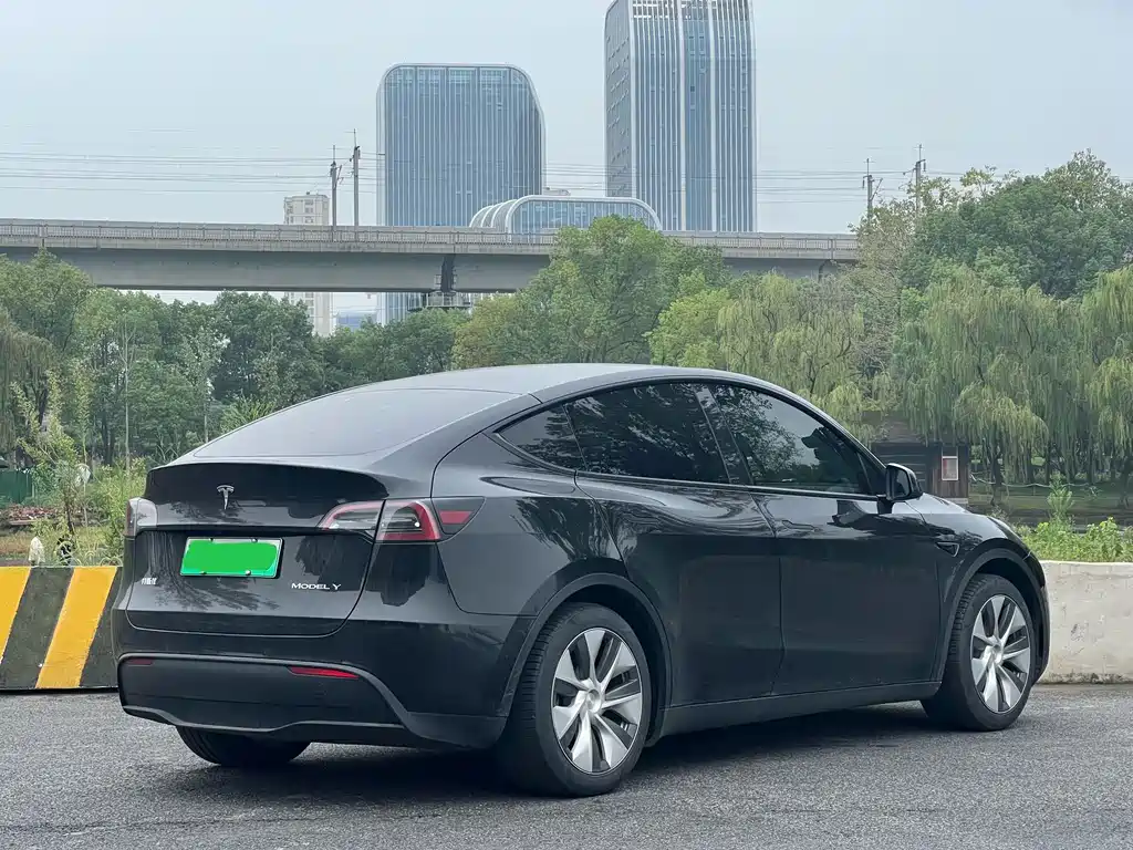 Tesla Model Y — миниатюра 7