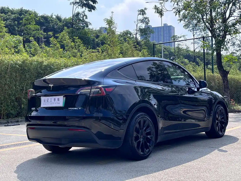 Tesla Model Y — миниатюра 11
