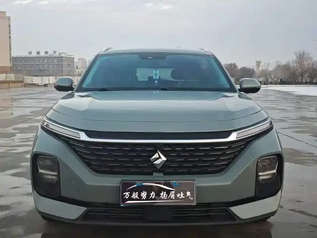 BAOJUN VALLI 2021