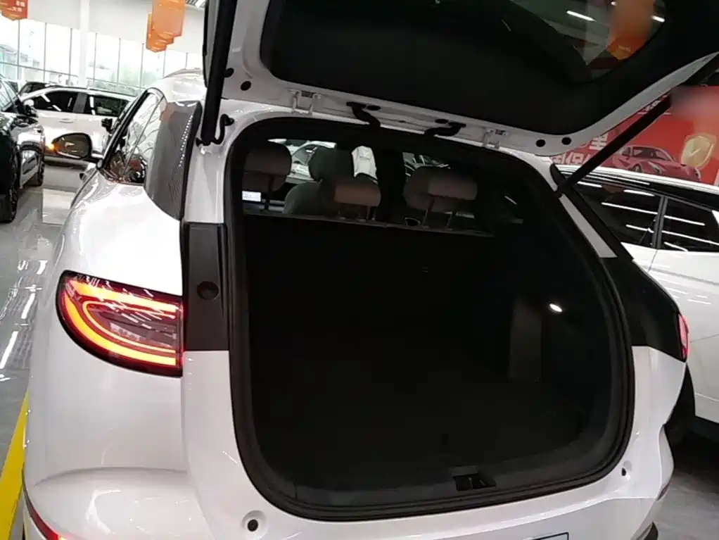 BYD Sealion 06 — миниатюра 19