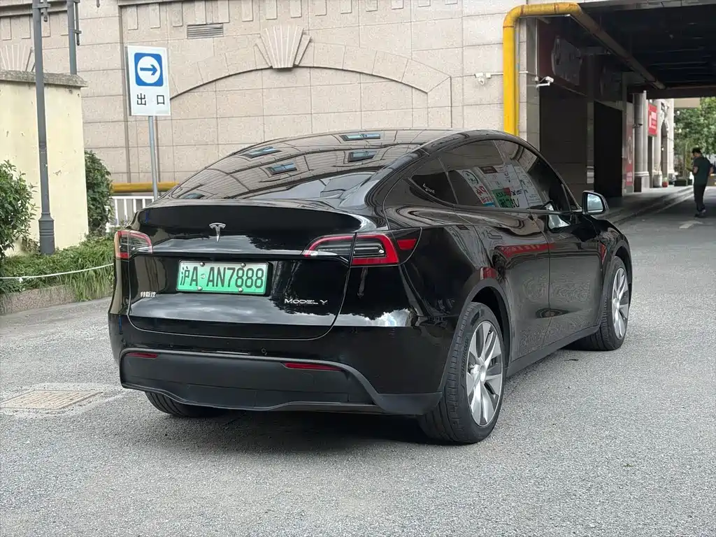 Tesla Model Y — миниатюра 5