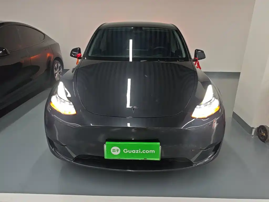 Tesla Model Y — миниатюра 3