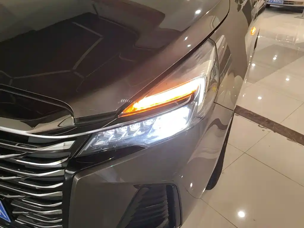 Buick GL8 — миниатюра 24