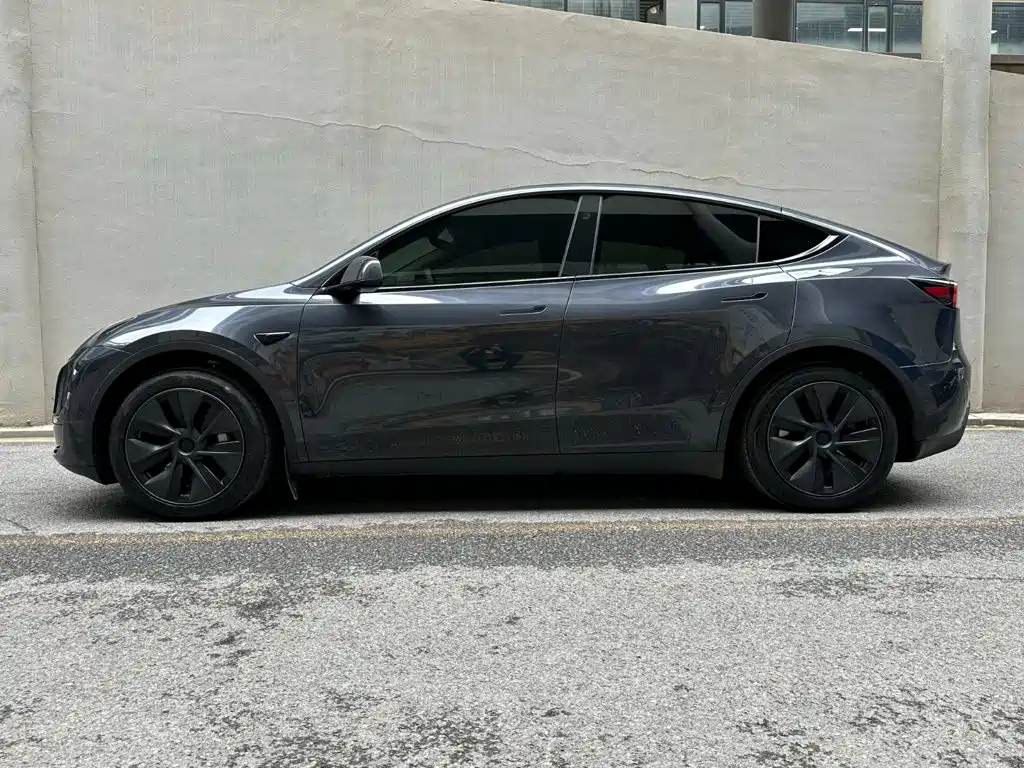 Tesla Model Y — миниатюра 3
