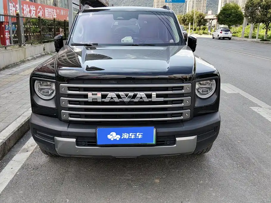 Haval Menglong New Energy — миниатюра 2