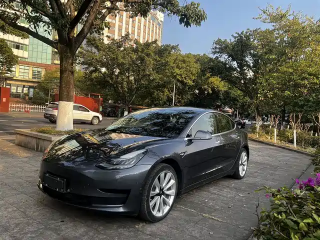 TESLA MODEL 3 2020