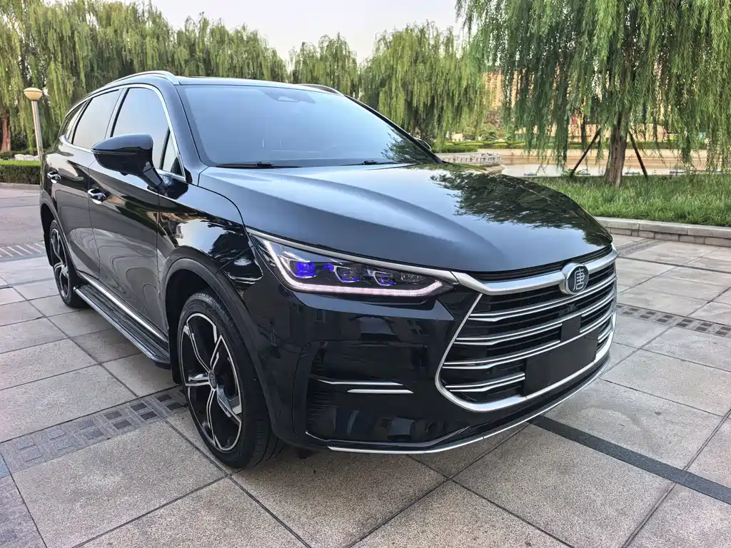 BYD Tang New Energy — миниатюра 2