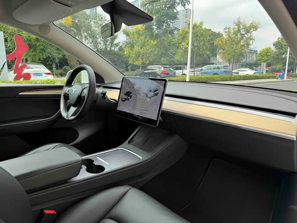 Tesla Model Y — миниатюра 11
